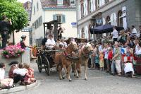 IMG_6146 (2) 